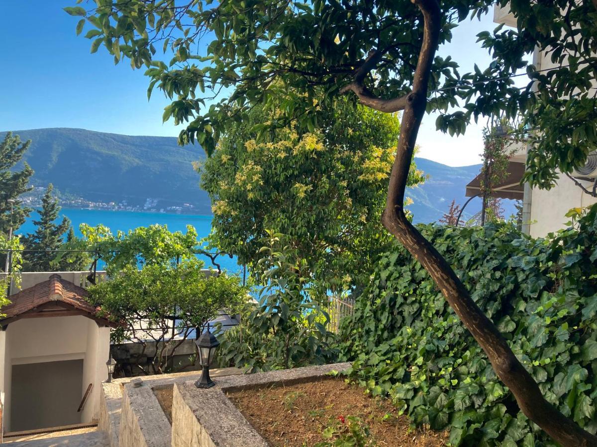 Ilic Herceg Novi
